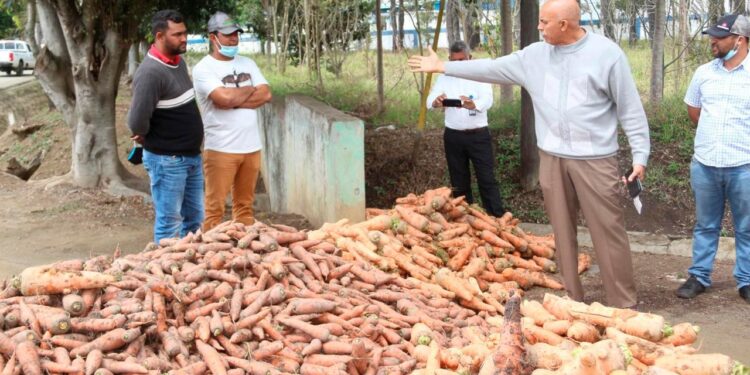 Agricultura niega haya autorizado importación masiva de zanahoria