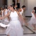 Lanzan campaña sobre los servicios que ofrece Bellas Artes